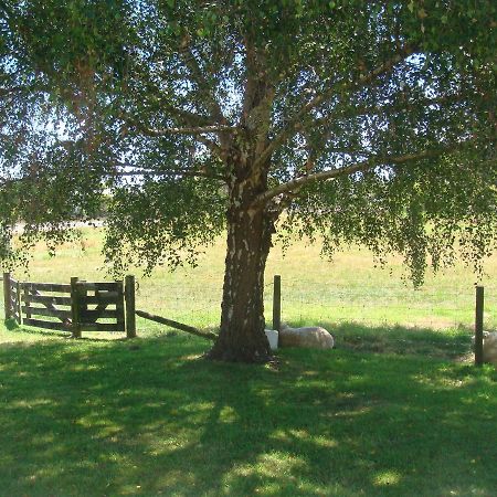 Woolshed Bed & Breakfast Takaka Eksteriør bilde